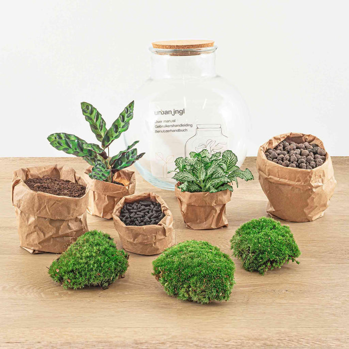 diy-terrarium-teddy-↕-26-5-cm-normal