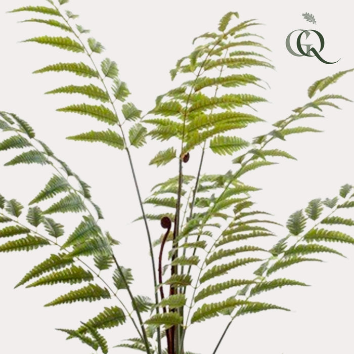 kunstplant-rumohra-adiantiformis-ledervaren-150-cm