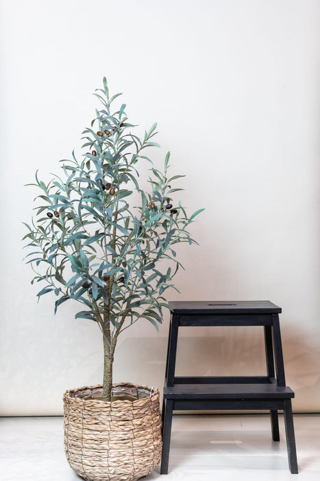 kunst-olijfboom-olea-europaea-olijfboom-115-cm