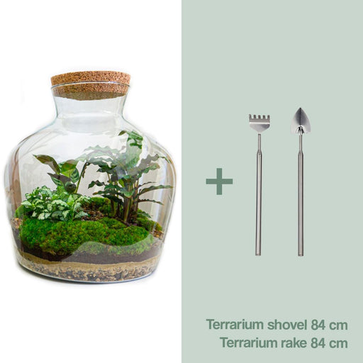 diy-terrarium-fat-joe-↕-30-cm-rake-shovel