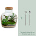 diy-terrarium-fat-joe-↕-30-cm-rake-shovel