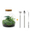 diy-terrarium-fat-joe-groen-↕-30-cm-rake-shovel-tweezer