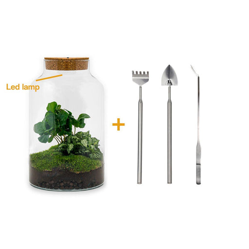 diy-terrarium-milky-coffea-met-lamp-↕-31-cm-rake-shovel-tweezer