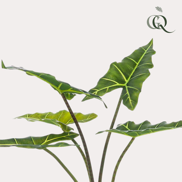 kunstplant-alocasia-frydek-olifantsoor-80-cm