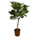 ficus-lyrata-stam-inclusief-elho-greenville-round-bruin-160-cm-o30