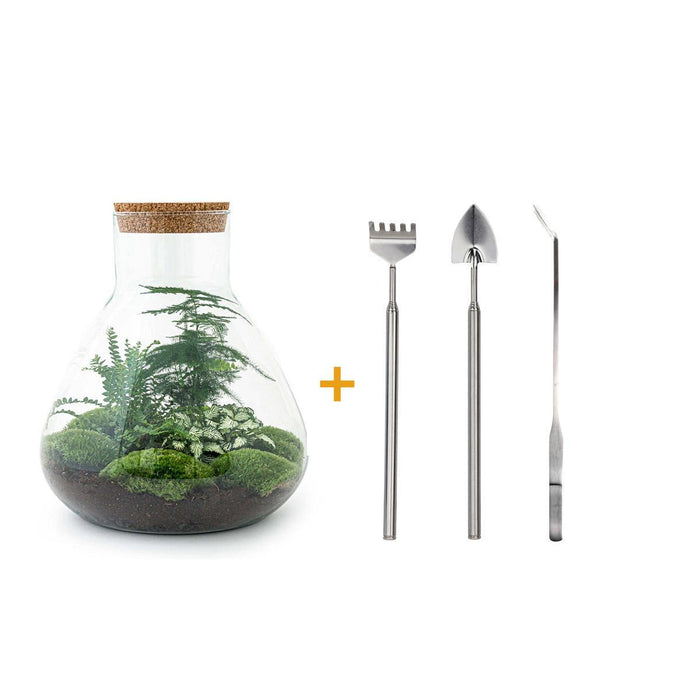 diy-terrarium-sam-xl-↕-35-cm-rake-shovel-tweezer