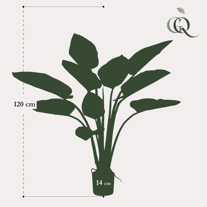 kunstplant-philodendron-120-cm