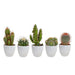 cactus-mix-5-5-cm-5x-in-witte-pot