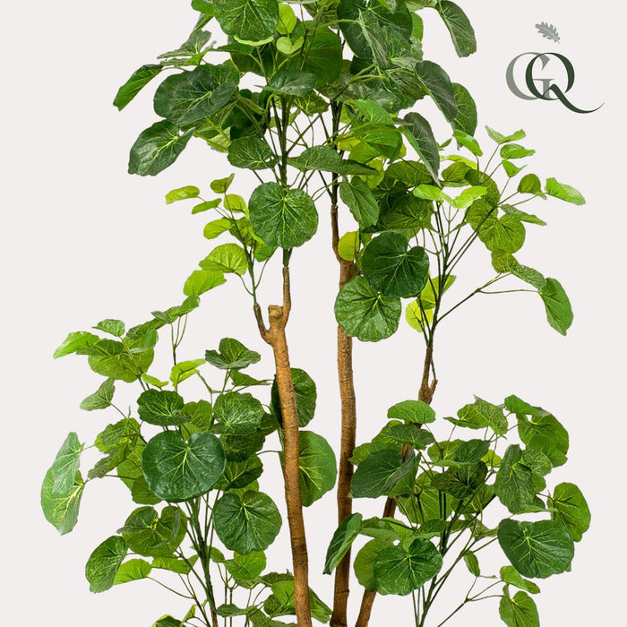 kunstplant-polyscias-aralia-160-cm