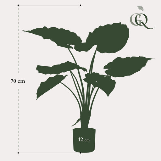 kunstplant-alocasia-olifantsoor-70-cm