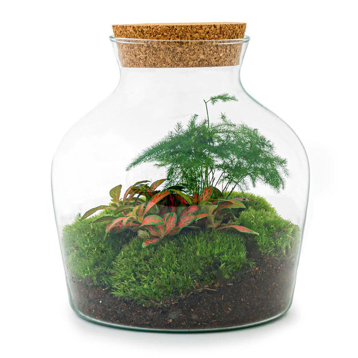 diy-terrarium-little-joe-↕-21-5-cm-rake-shovel-tweezer-scissors