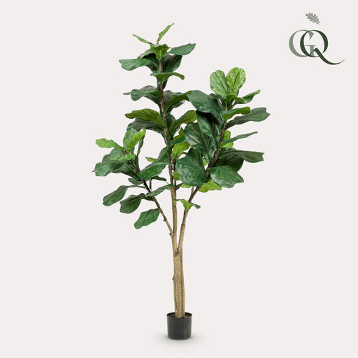 kunstplant-ficus-lyrata-tabaksplant-180-cm