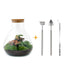 diy-terrarium-sam-xl-rood-↕-35-cm-rake-shovel-tweezer