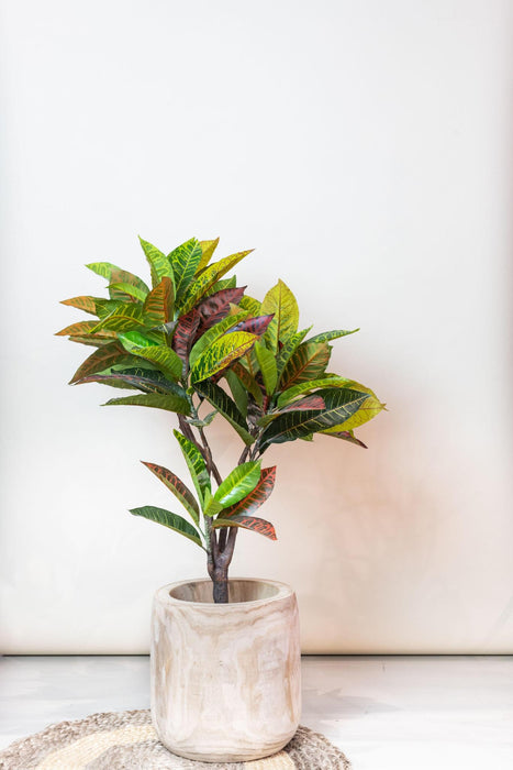 kunstplant-croton-codiaeum-wonderstruik-100-cm