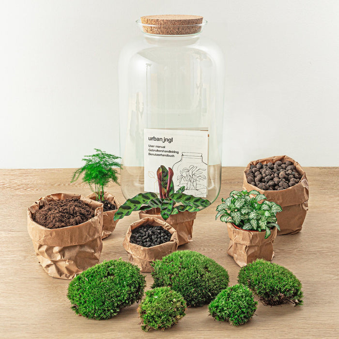 diy-terrarium-botanical-sven-xl-↕-43-cm-normal