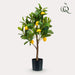 kunstplant-citrus-limonia-citroenboom-75-cm