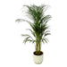 areca-palm-110cm-o21cm-inclusief-elho-vibes-fold-round-wit-d22xh20