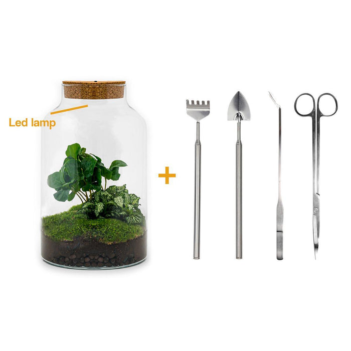 diy-terrarium-milky-coffea-met-lamp-↕-31-cm-rake-shovel-tweezer-scissors