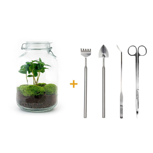 diy-terrarium-jar-coffea-arabica-↕-28-cm-rake-shovel-tweezer