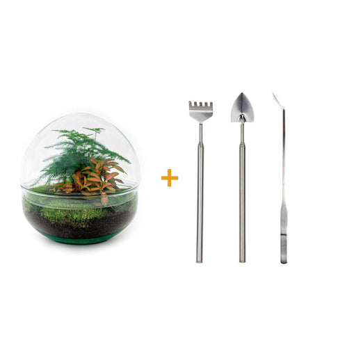 diy-terrarium-dome-red-↕-20-cm-rake-shovel-tweezer