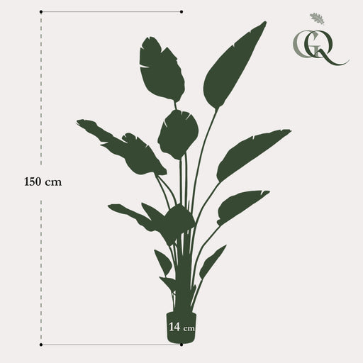 kunstplant-strelitzia-nicolai-paradijsvogelbloem-150-cm