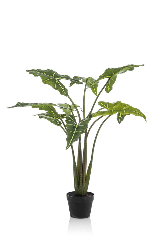 kunstplant-alocasia-frydek-olifantsoor-100-cm