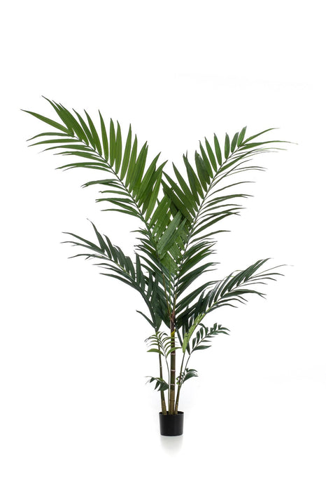 kunstplant-kentia-kentiapalm-150cm