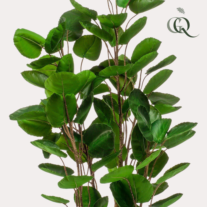 kunstplant-polyscias-aralia-105-cm