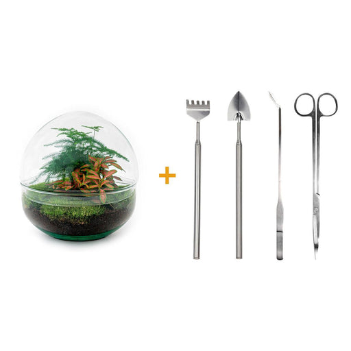 diy-terrarium-dome-red-↕-20-cm-rake-shovel-tweezer-scissors