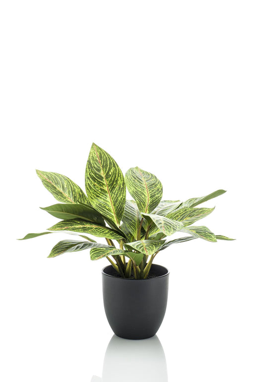 kunstplant-croton-codiaeum-wonderstruik-38-cm