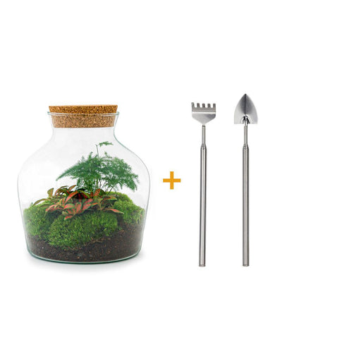 diy-terrarium-little-joe-↕-21-5-cm-rake-shovel