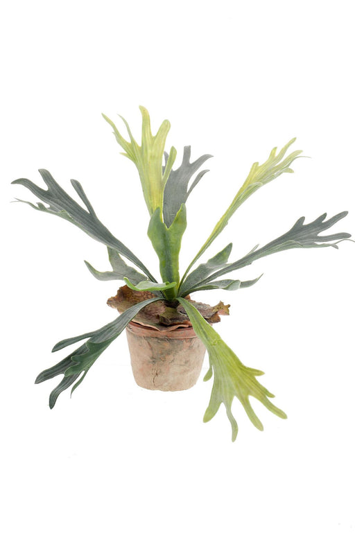 kunstplant-staghorn-fern-hertshoorn-33-cm