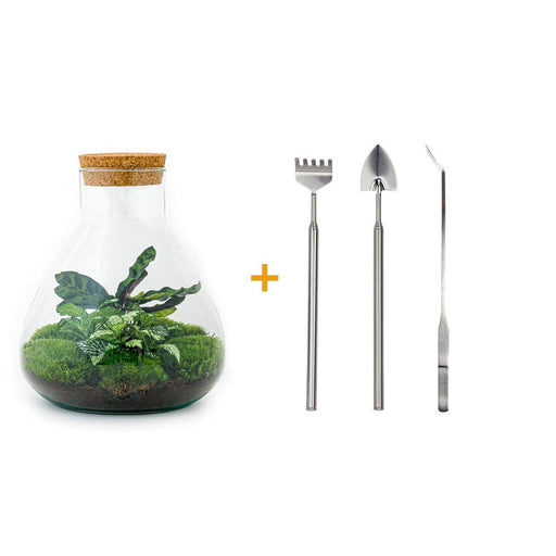 diy-terrarium-sammie-↕-27-cm-rake-shovel-tweezer-scissors