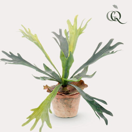 kunstplant-staghorn-fern-hertshoorn-33-cm