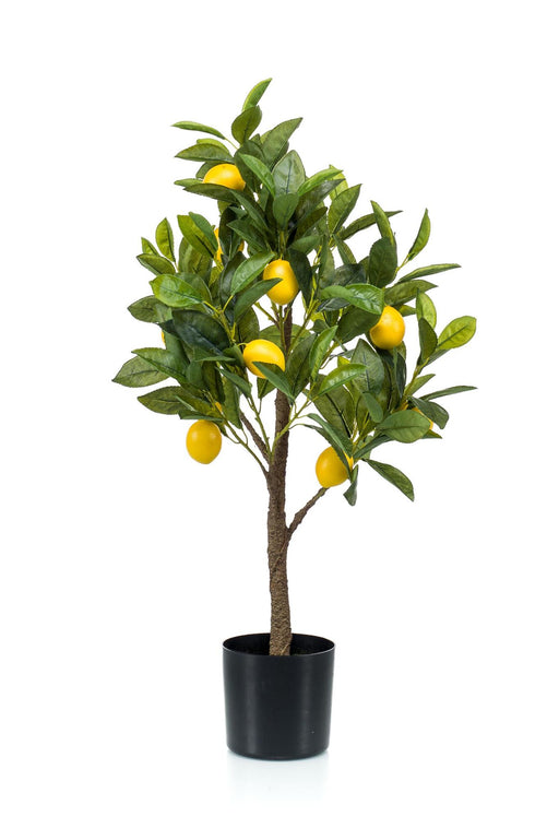 kunstplant-citrus-limonia-citroenboom-75-cm