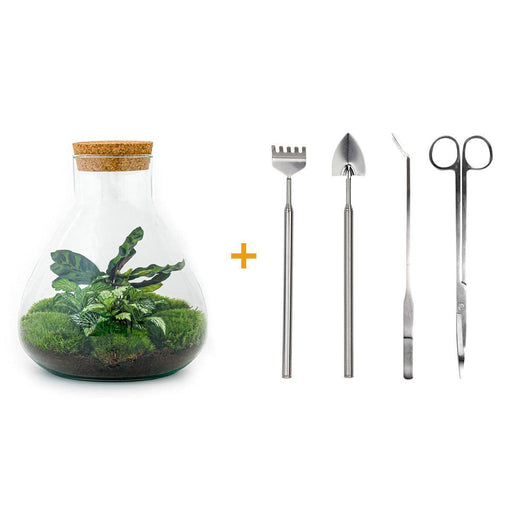 diy-terrarium-sammie-↕-27-cm-rake-shovel-tweezer