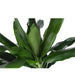 dracaena-janet-lind-o24cm-↕120cm-in-boule-antraciet-pot