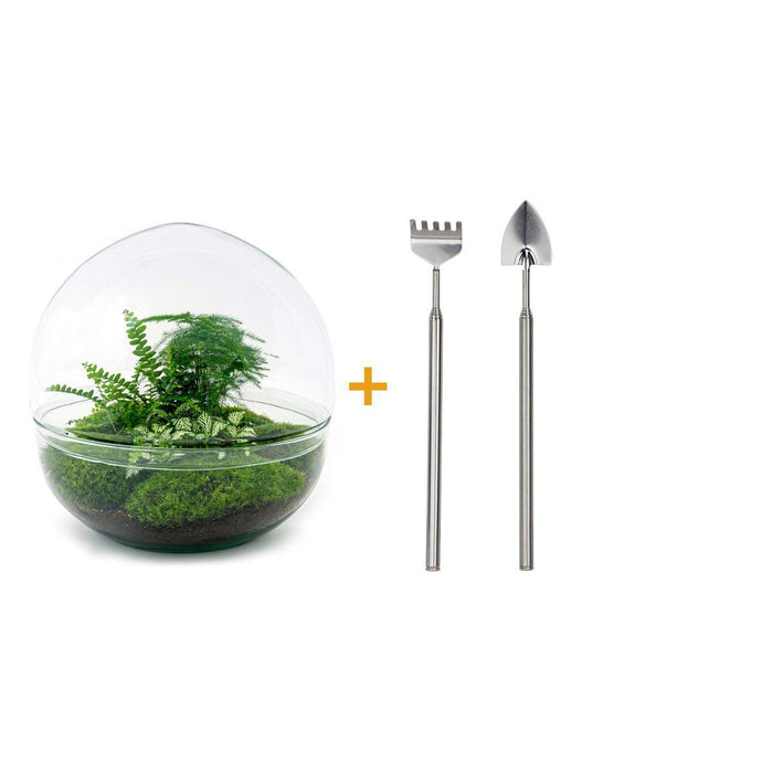 diy-terrarium-dome-xl-↕-30-cm-rake-shovel