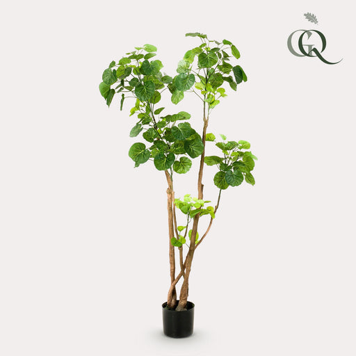 kunstplant-polyscias-aralia-140-cm