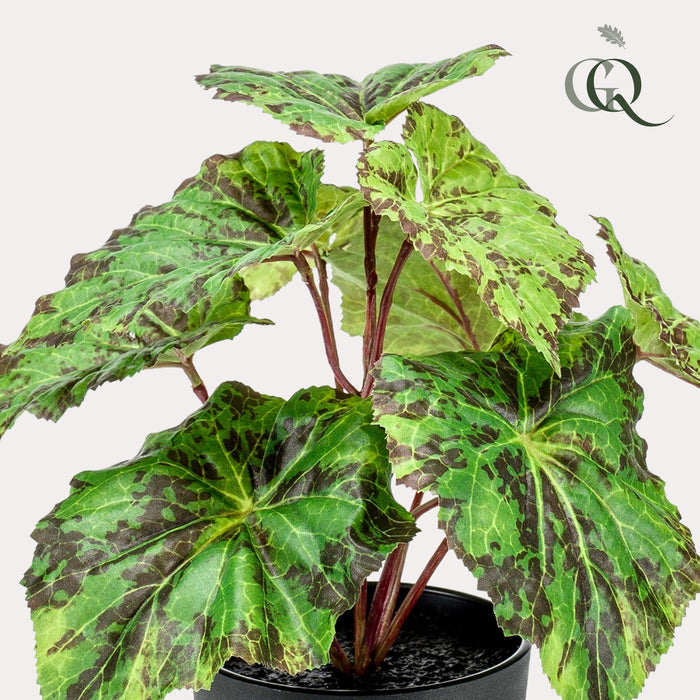 kunstplant-begonia-rex-bladbegonia-25-cm