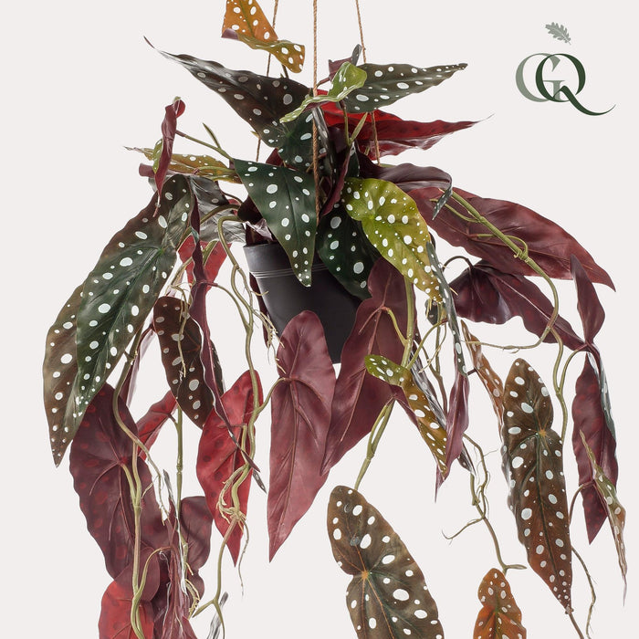 kunstplant-begonia-maculata-stippenbegonia-80-cm