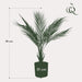 kunstplant-chamaedorea-bergpalm-50-cm