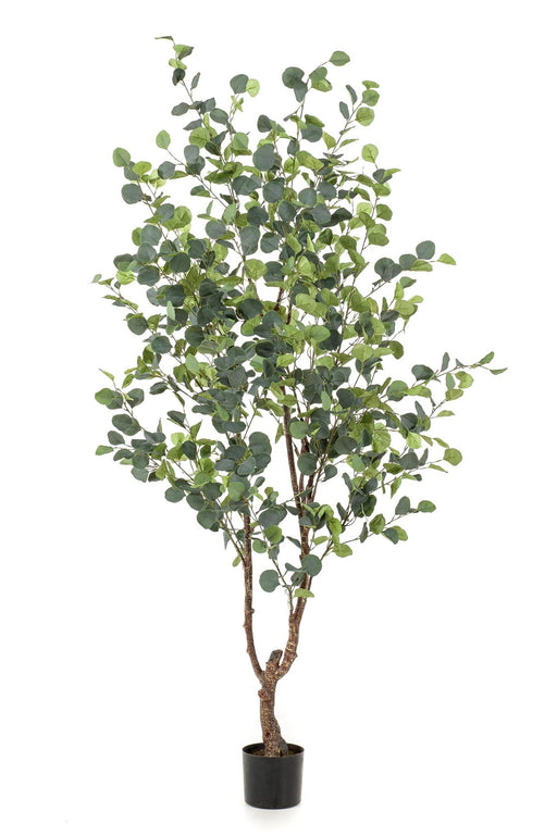 kunstplant-eucalyptus-blauwe-gomboom-140cm-180-cm