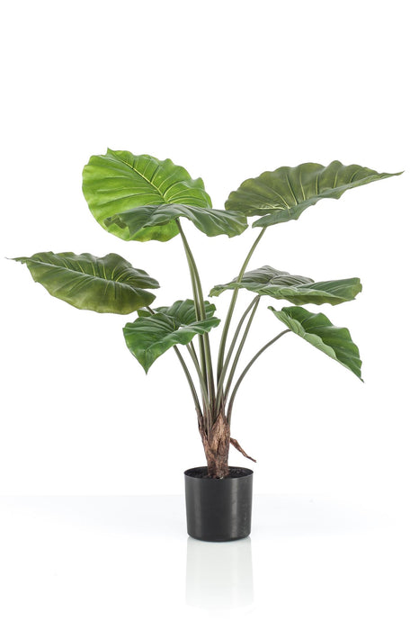 kunstplant-alocasia-olifantsoor-70-cm