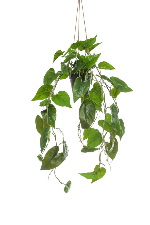 kunstplant-philodendron-scandens-klimmende-boomliefhebber-80-cm