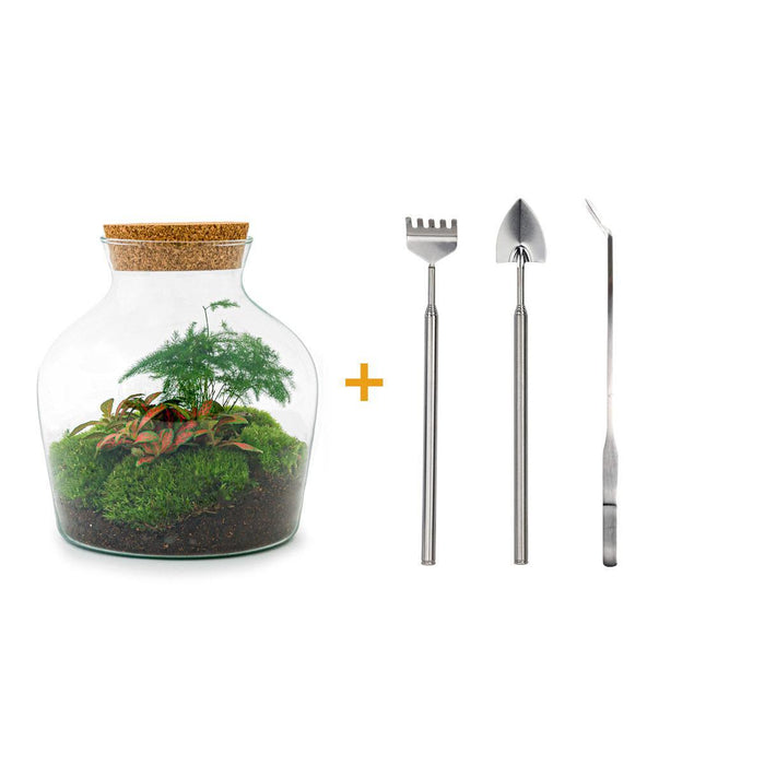 diy-terrarium-little-joe-↕-21-5-cm-rake-shovel-tweezer