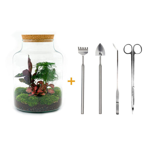 diy-terrarium-milky-↕-30-cm-rake-shovel-tweezer-scissors