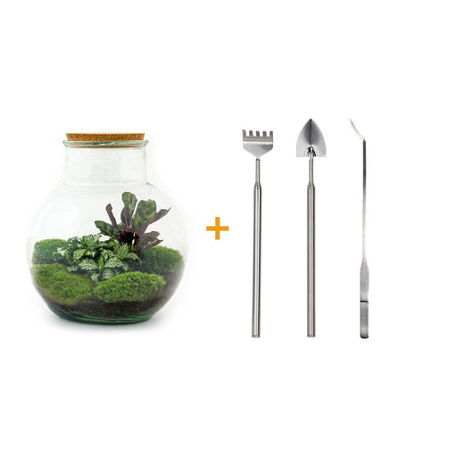 diy-terrarium-teddy-↕-26-5-cm-rake-shovel-tweezer