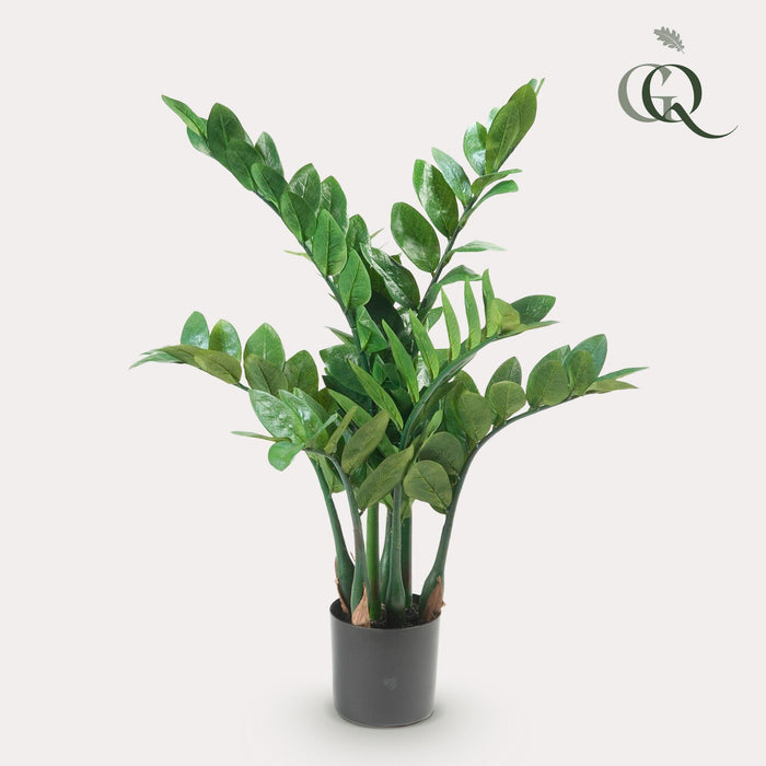 kunstplant-zamioculcas-kamerpalm-70-cm