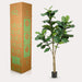 kunstplant-ficus-lyrata-tabaksplant-180-cm